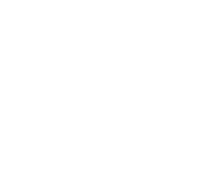 aripaeva-top